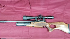 Daystate Wolverine Hi lite 2.jpeg