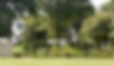 butterfly garden w_memorial stone and house in background.jpg