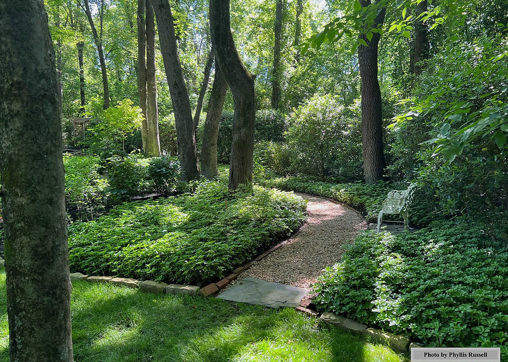 Vickie's path by Phyllis with text.jpg