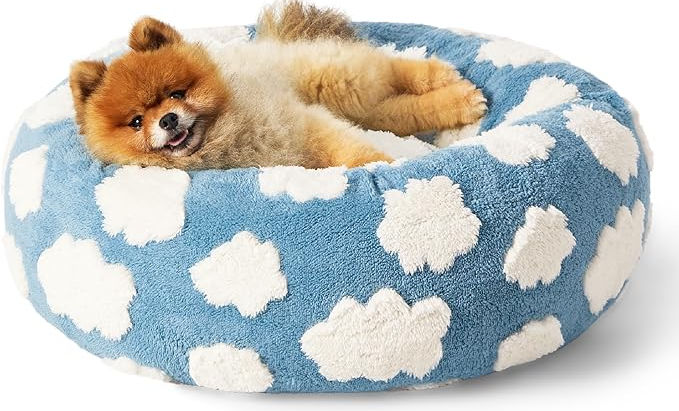 Small dog resting in a blue cloud-pattern pet bed at a pet-friendly vacation rental.