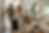 Airbnb Extended Cancellation Option helps vacation rental guests book with confidence while allowing hosts to maintain existing cancellation policy protections and revenue security.