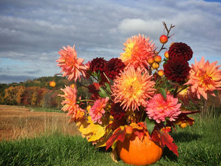 100 Days of Bouquets for October