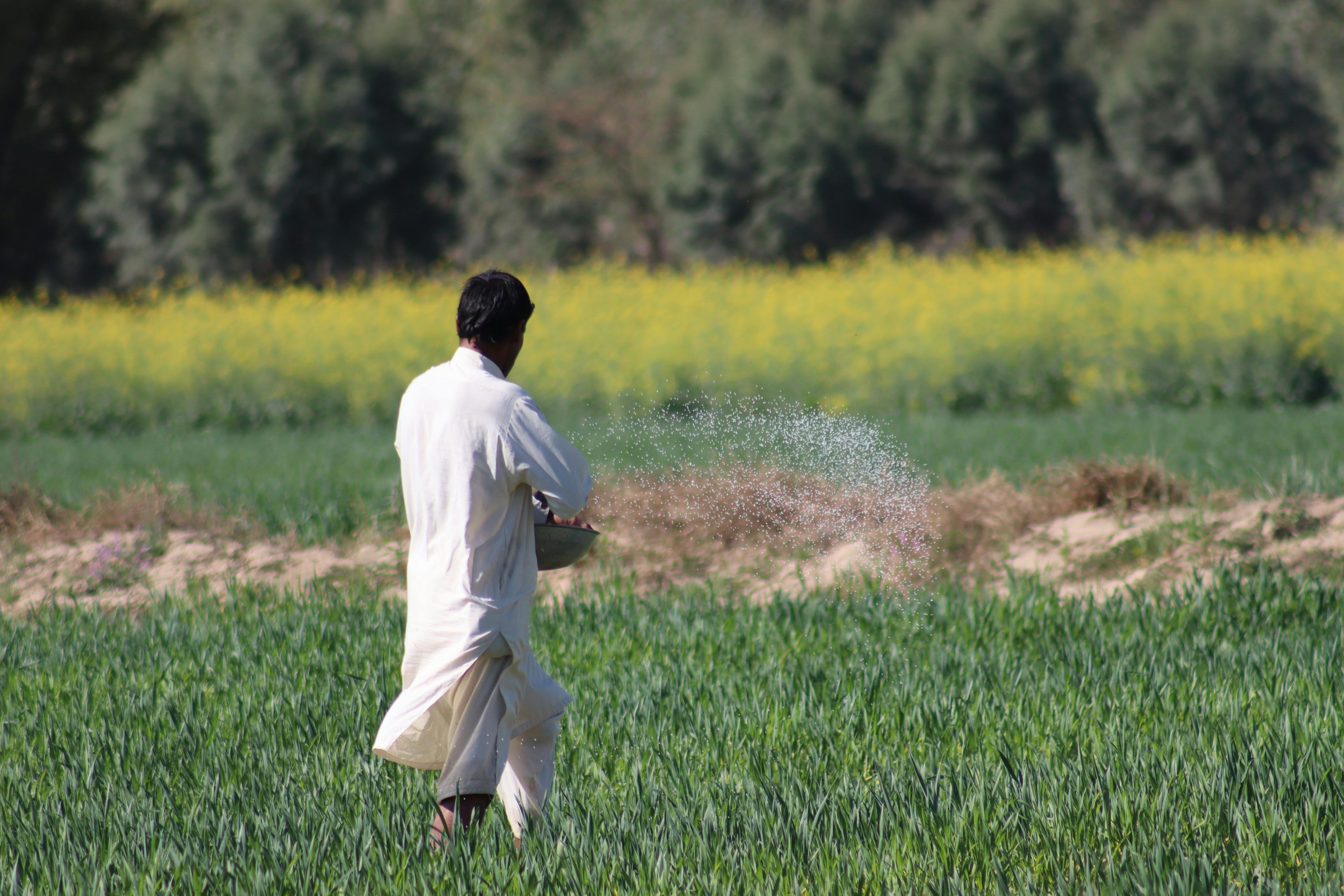 The Fertilizer Shockwave