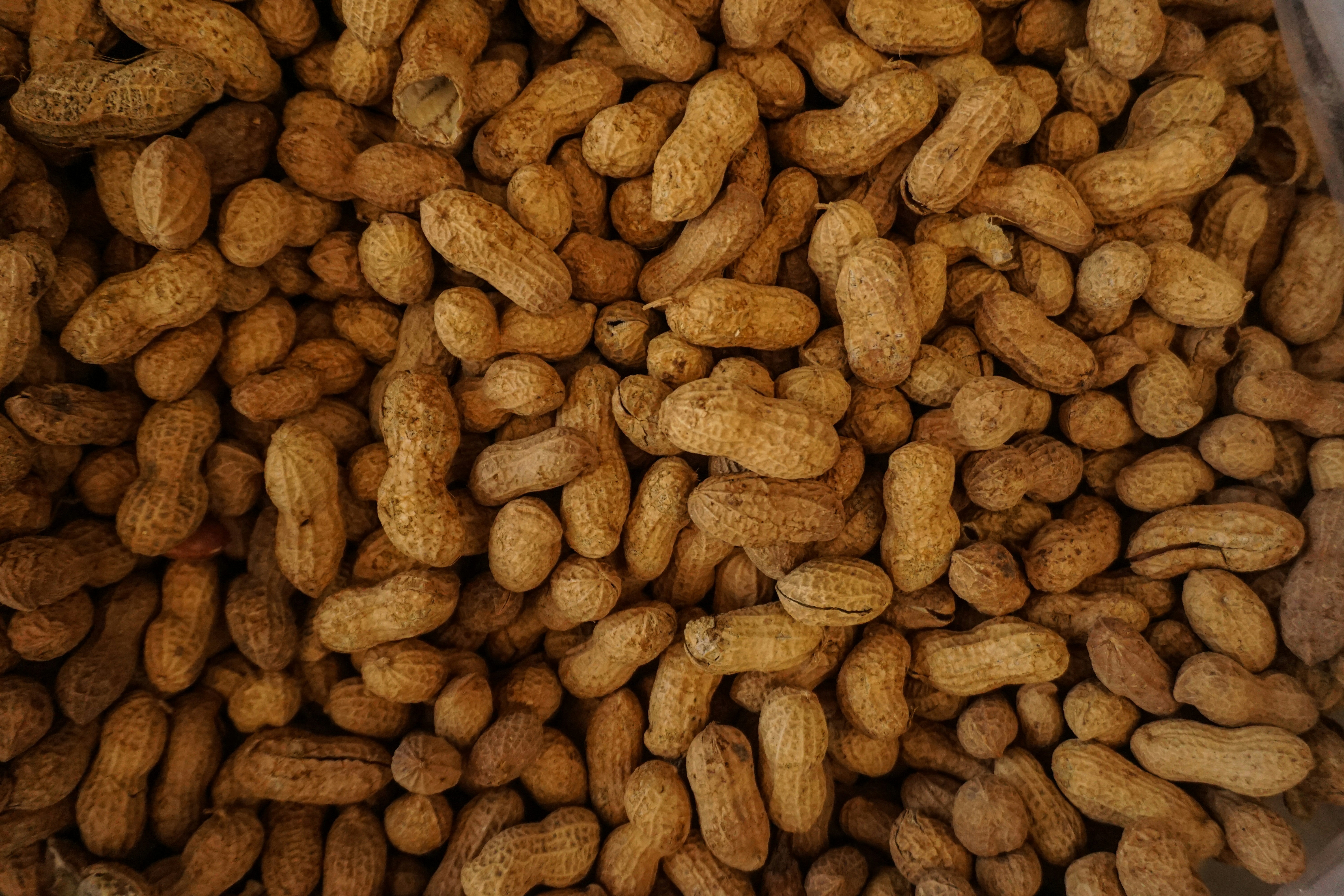 Why Groundnut Oil Is Preferable For Cooking