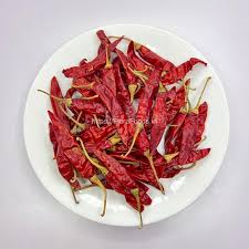 What Is Andhra Famous For