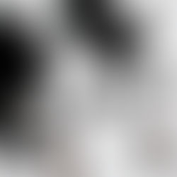 How Mindset Shapes Workplace Behavior and Team Performance