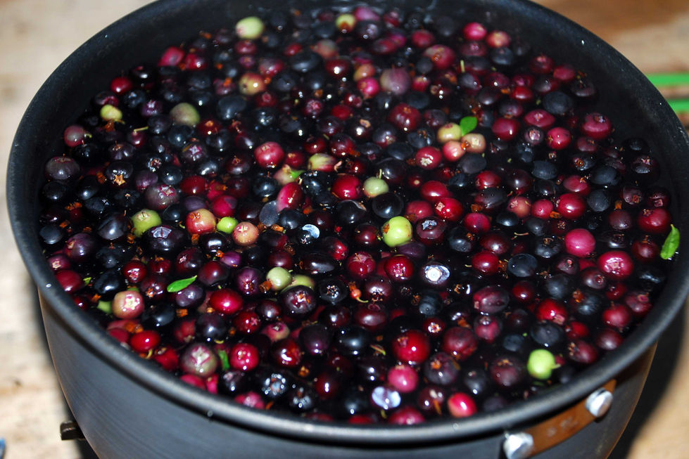 ТУНДРА-ВИТАМИН