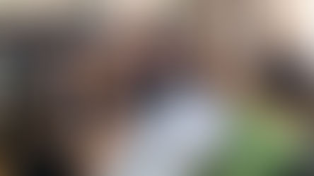 ტვინების ბრძოლის რეგიონული ეტაპი- გრანდიოზული მასშტაბები და კიდევ ერთი ნაბიჯი საბოლოო მიზნამდე