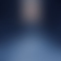 Paul Seba "Moonlight (Nocturne No.2)"