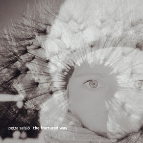 Petra Salsjö "The Fractured Way": Broken Light