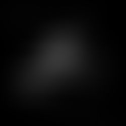 Michael McCain "Darkful": Shadows in Motion