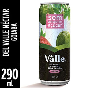 Suco Del Valle Néctar Sabor Goiaba LATA 290ML
