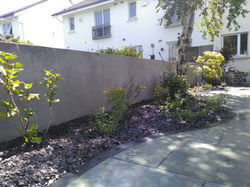 IMG-20170527-WA0015 1