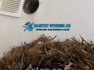 Kajbo i imkanal i Lidköping – ett dolt men allvarligt ventilationsproblem