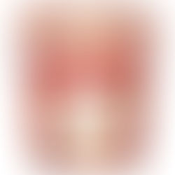 Du vill ha visdom men vill du bli Vis?