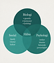 Three-Pillar Health Venn Diagram.png