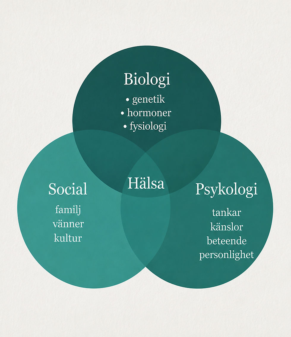 Three-Pillar Health Venn Diagram.png