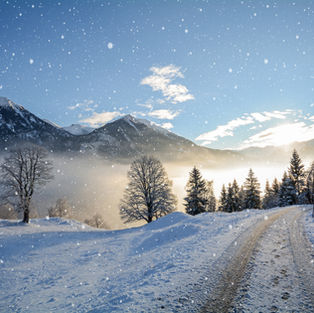 Sport
Ski, Rafting, Golf, Randonnée didactique ...