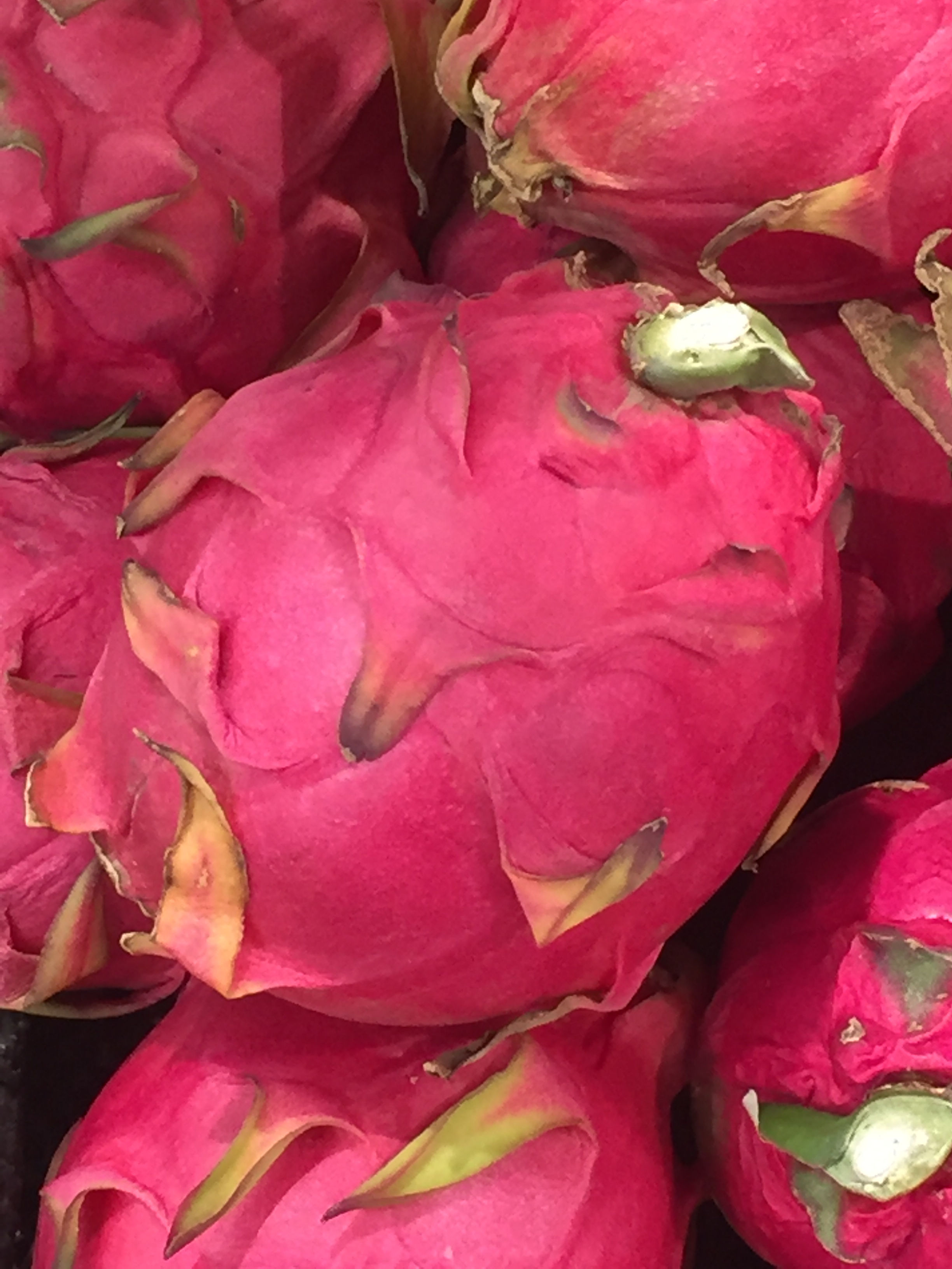 火龍果 Dragon Fruit