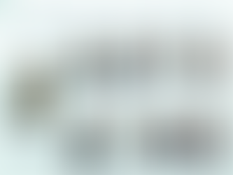 PalmDrive 2026 North America In-Person Tour: Meet Our Team in 9 Cities!