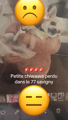 Fifi