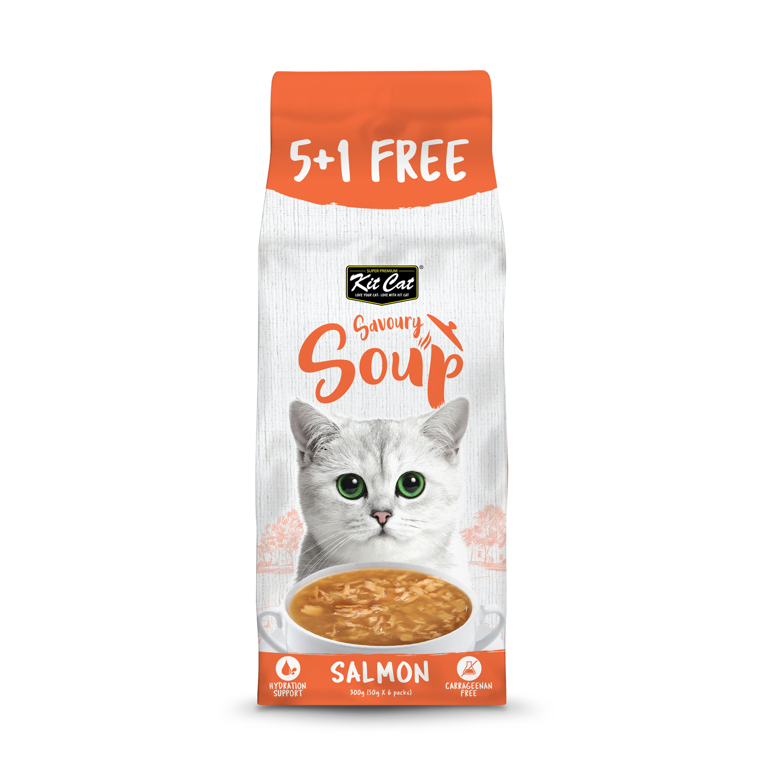kit cat savoury soup salmon