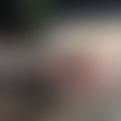 ジムグリ(有隣目 ナミヘビ科)