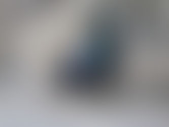 ニジキジ(キジ目 キジ科)