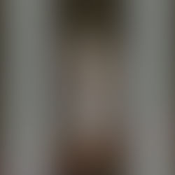 ハイタカ(タカ目 タカ科)