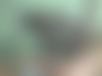 ブラウンキツネザル(霊長目 キツネザル科)