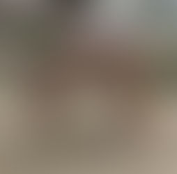 ボブキャット(食肉目 ネコ科)