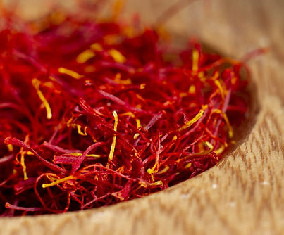 WhatsApp Image 2025-08-01 at 18.35.49_2d6a3b0b.jpg