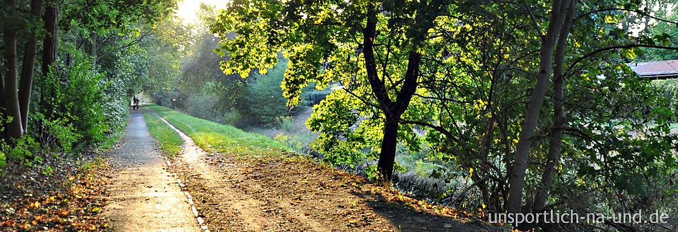 Joggingstrecke am 11. März 2015.