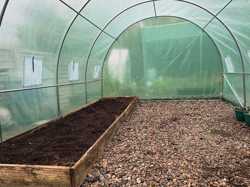 Optimizing Vegetable Growth in Our New Poly Tunnel After Storm Damage