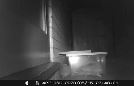 camera 1.JPG