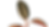AEnB2UovFtrU-bisYMJN_G_B919fSRDT2BiUwMQrvwGG1MWfLT7dwAepIZD0kSxIw3Fr5PWCX9tr-QmKDAqb_DuMGq