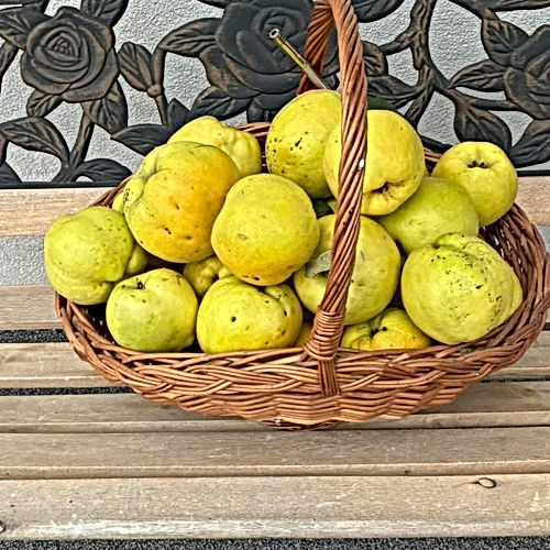 Harvesting a Lifetime
