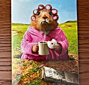 The Card in the Drawer