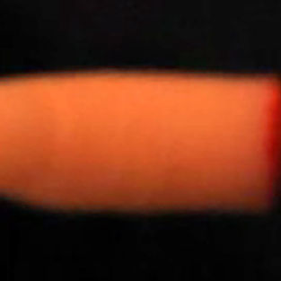 Detail of a finger-shaped mixed media sculpture