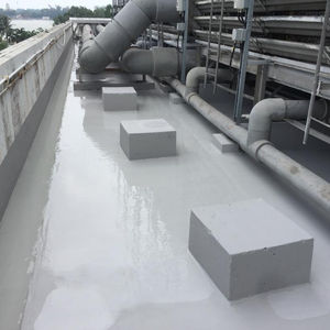EXPOSE ROOF COATING 1