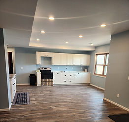 Kitchen remodel_edited.jpg