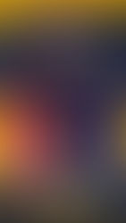 Vencedores da segunda corrida da Temporada 8 que aconteceu no Azerbaijão pela Categoria ALPHA.