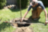 Un arbre pour mon quartier