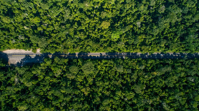 Duplicação da BR-101 ameaça Reserva Biológica de Sooretama