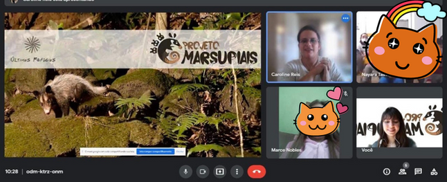 Projeto Marsupiais realiza encontro online com alunos do Rio Grande do Sul