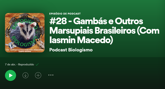 Gambás e outros marsupiais brasileiros: Projeto Marsupiais no podcast "Biologismo"