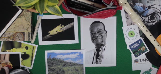 Conheça a “perereca-pixinguinha”, espécie batizada em homenagem ao ícone do chorinho brasileiro