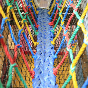 Defining the Safety Net