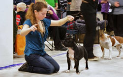 Hellerud 31 January 2010 - 001
