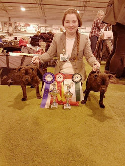 16729860_10154246348905918_1535761317_n_edited